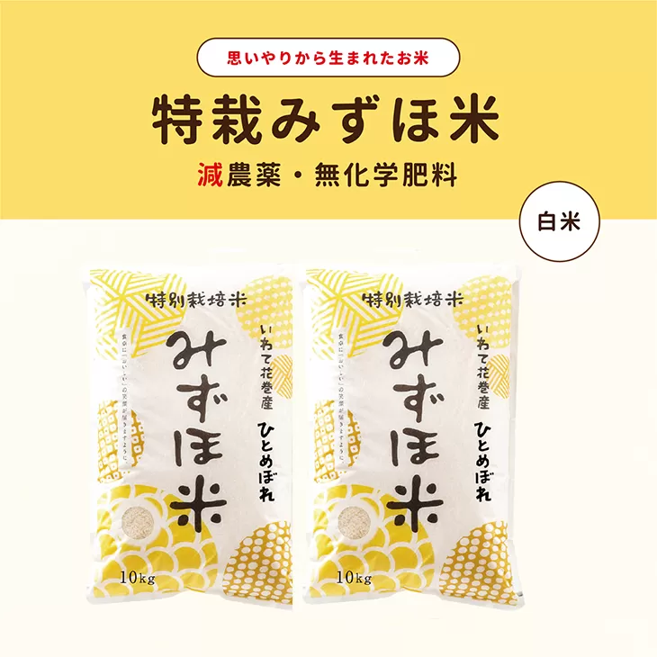 特別栽培みずほ米 ひとめぼれ 白米 20kg（10kg×2袋） 【1752】