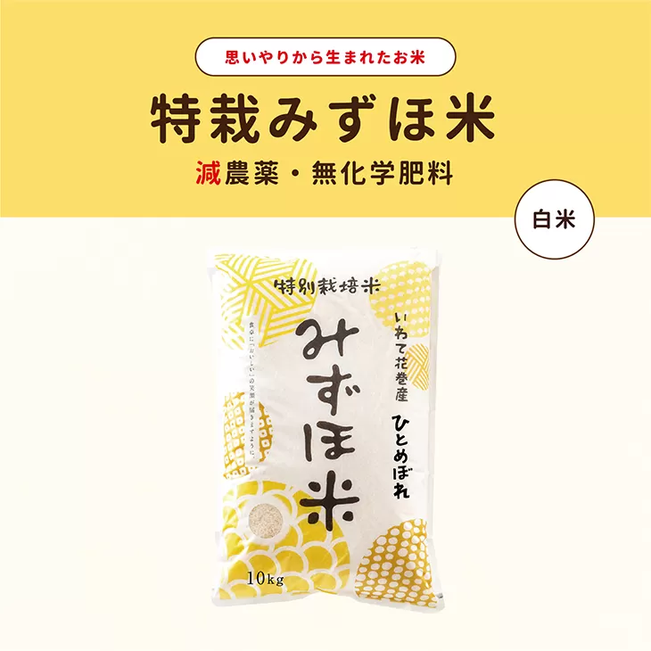 特別栽培みずほ米 ひとめぼれ 白米 10kg 【1751】