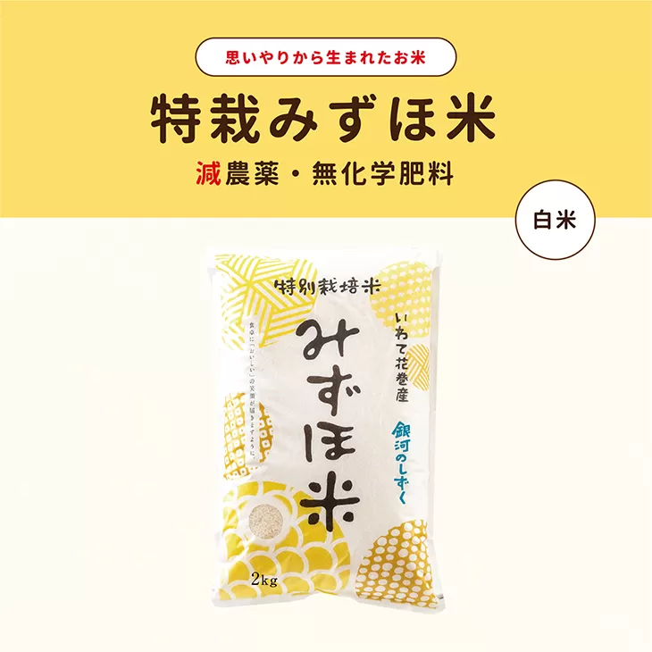 特別栽培みずほ米 銀河のしずく 白米 10kg 【1755】