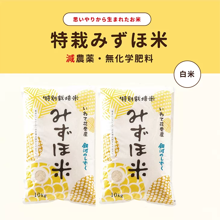 特別栽培みずほ米 銀河のしずく 白米 20kg（10kg×2袋） 【1756】