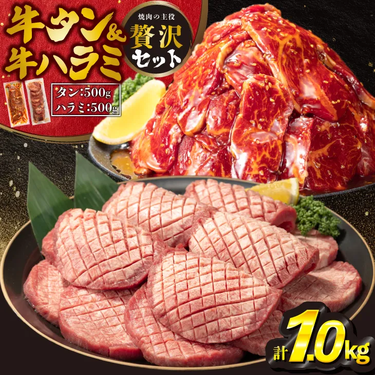 厚切り牛タン塩味500ｇ・味付け牛ハラミ500ｇ各1Ｐ 【842】