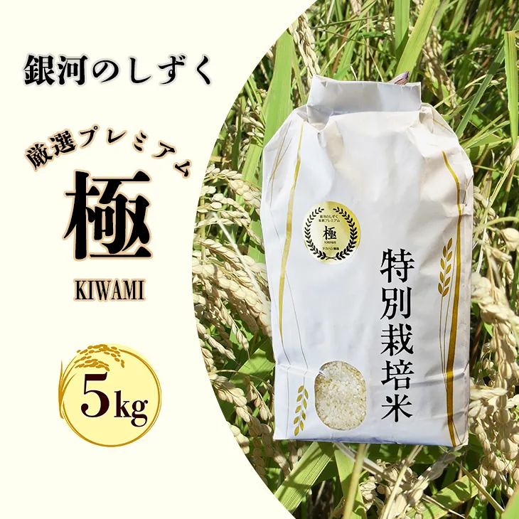 <令和8年産予約受付>銀河のしずく 厳選プレミアム 極(kiwami) 5kg 【2228】