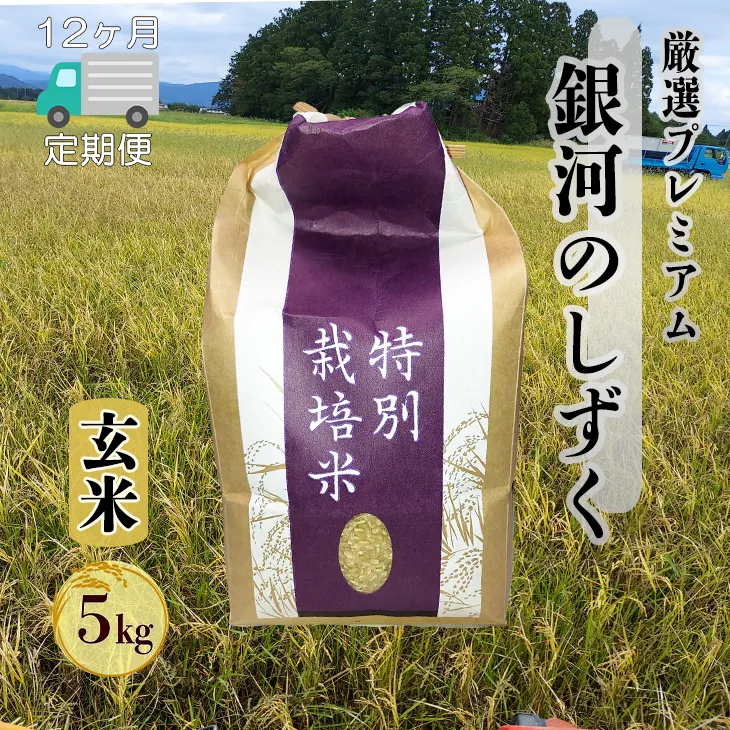＜令和8年産予約受付＞【12ヶ月定期便】銀河のしずく 厳選プレミアム 玄米 5kg 【2531】