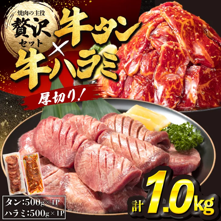 厚切り牛タン塩味500ｇ・味付け牛ハラミ500ｇ各1Ｐ 【842】