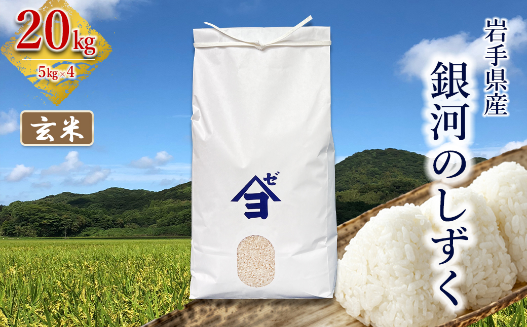 米　8年連続特A! 白米【岩手県産銀河のしずく20kg】 (5kg×2) 岩手県産銀河のしずく 20kg(5㎏×4） 玄米 【2588】｜花巻市｜岩手県
