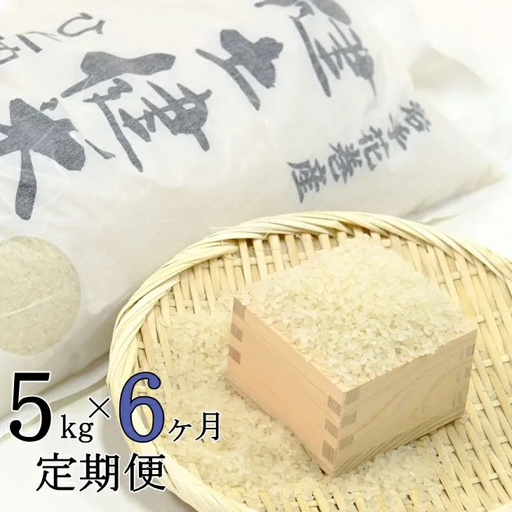 【6ヶ月定期便】岩手花巻産ひとめぼれ「健土健米」5㎏ 【306】