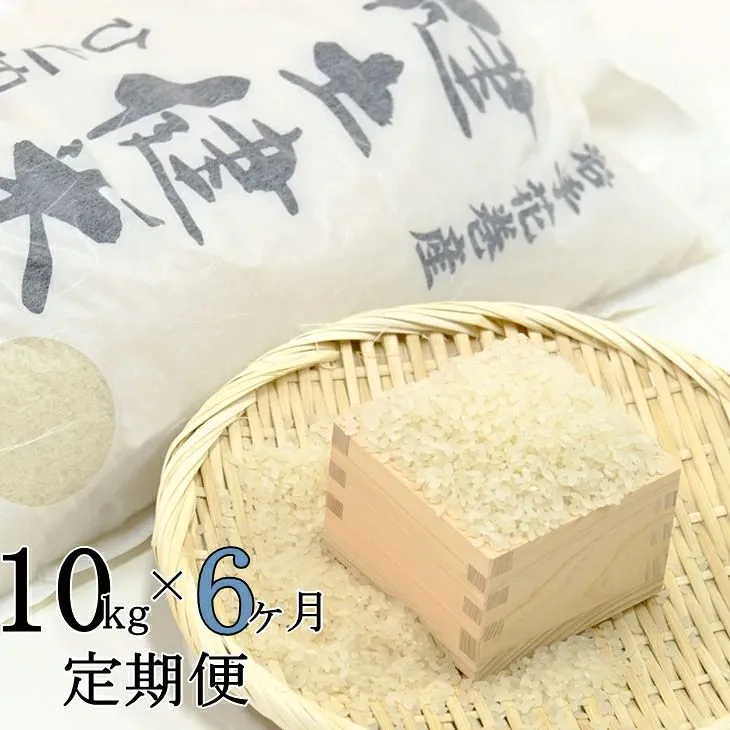 【6ヶ月定期便】岩手花巻産ひとめぼれ「健土健米」10㎏ 【309】