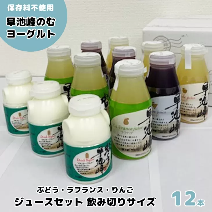 早池峰のむヨーグルト・ジュースセット 飲み切りサイズ（B-2）　 【1551】