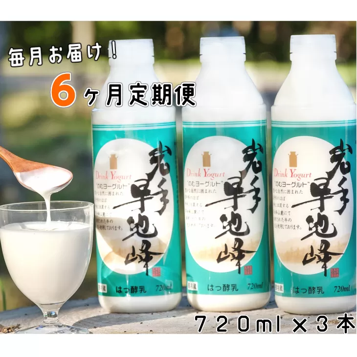 【6ヶ月定期便】早池峰のむヨーグルト３本セット 【639】
