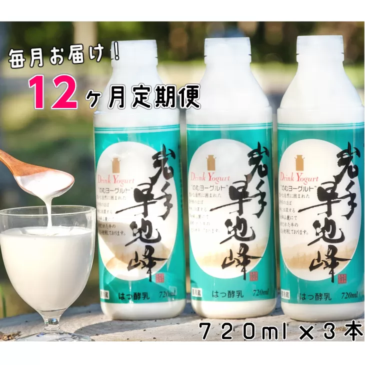 【12ヶ月定期便】早池峰のむヨーグルト３本セット 【640】