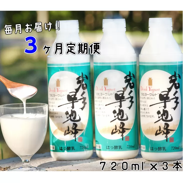 【3ヶ月定期便】早池峰のむヨーグルト3本セット 【638】
