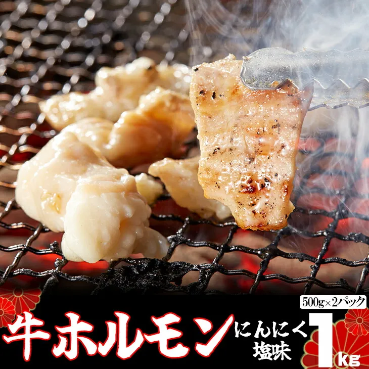 味付け牛ホルモン 秘伝のたれ漬け にんにく塩味 1kg（500g×2パック） 【1156】