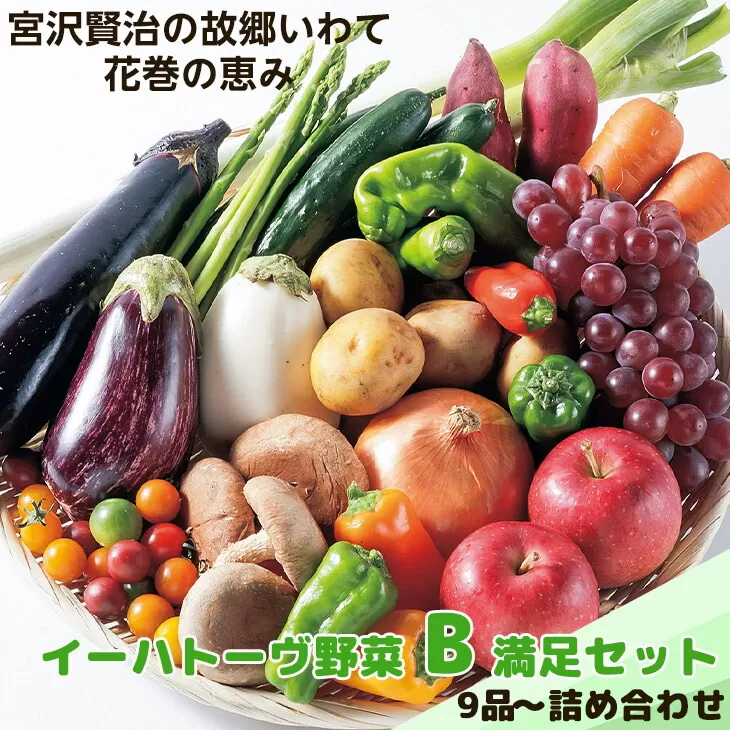 イーハトーヴ野菜B 満足セット 9品～ 詰め合わせ 【1203】