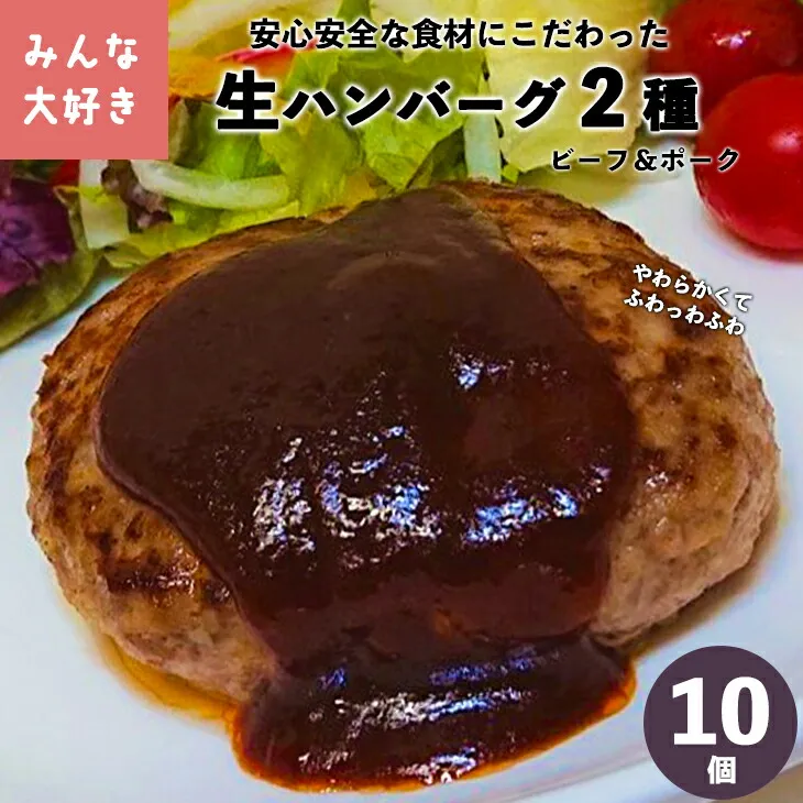 みんな大好き ハンバーグ 10個セット (ビーフ・ポーク)【1223】