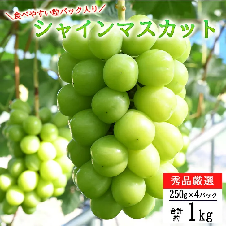 厳選シャインマスカット 粒パック (約250g×4パック） 【1248】