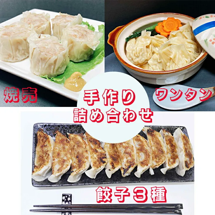カスイ 手作り 餃子3種・焼売・ワンタン詰合せセット(5種類)【1348】