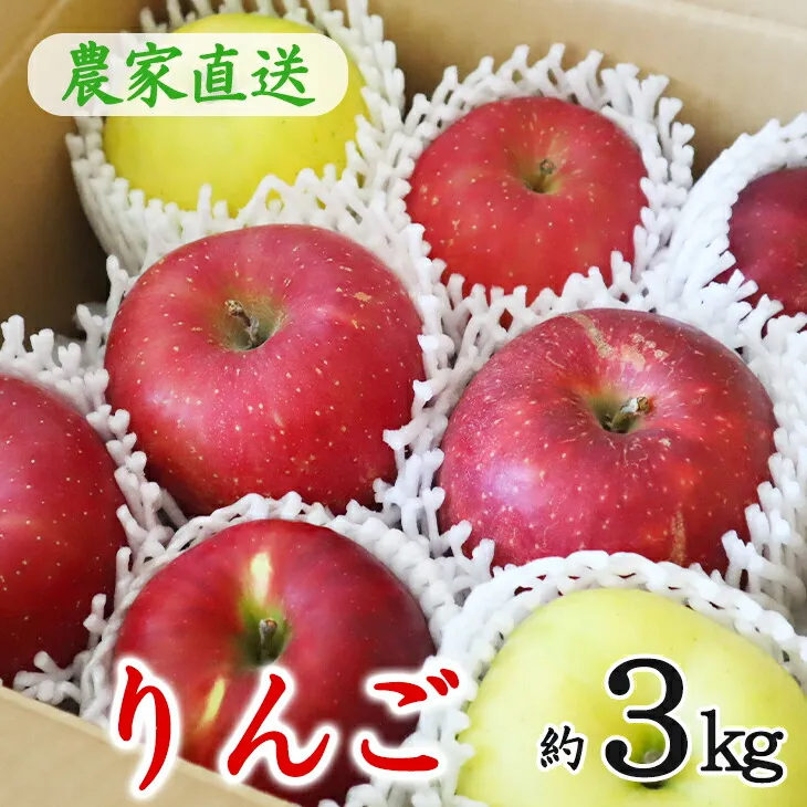 花巻産 りんごミックス 贈答用 詰め合わせ（約3kg） 【1779】