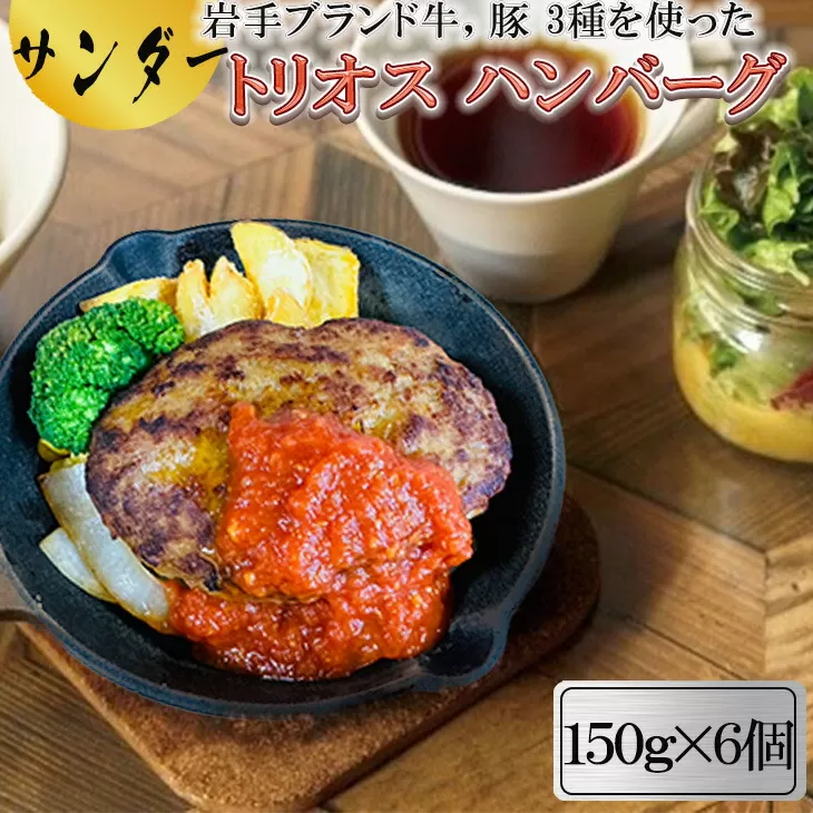 サンダートリオスハンバーグ 150g×6個  【1869】
