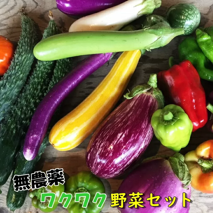 ひばり農園の無農薬ワクワク野菜セット《6月より発送開始》 【289】