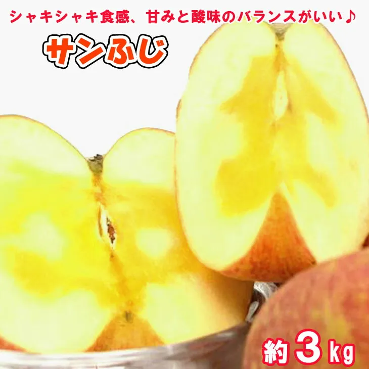 【予約受付】【贈答用】味の良い岩手の蜜入り サンふじ 約3kg 【652】