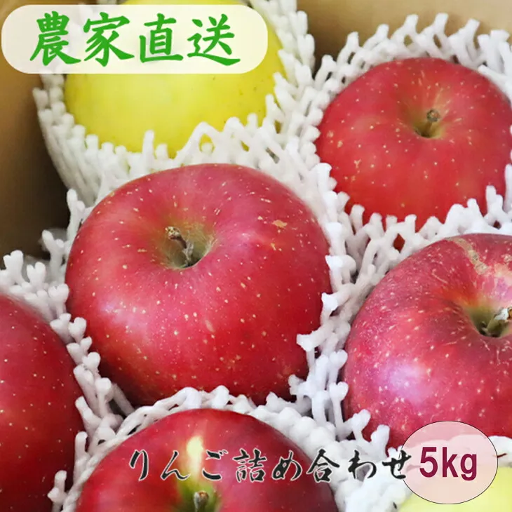 りんごミックス 贈答用 詰め合わせ（約5kg） 【798】