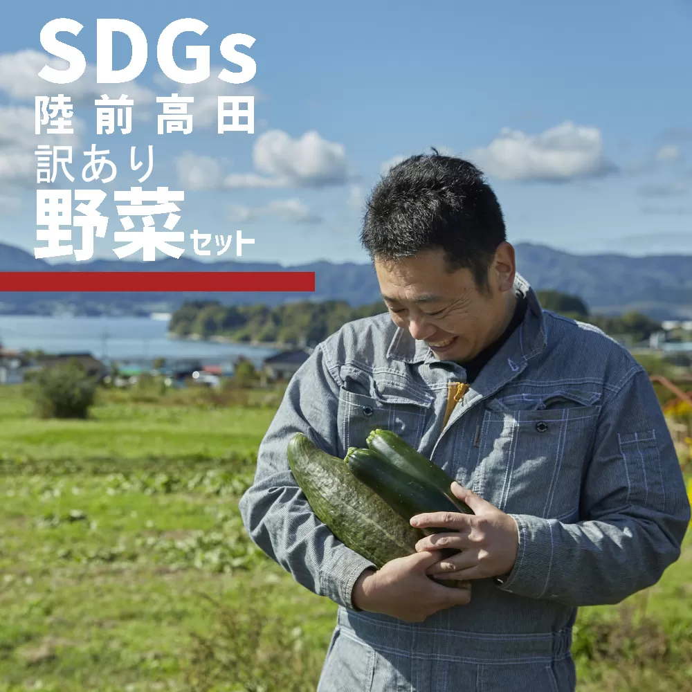 訳あり 野菜セット 約3～4種類 農家のおすそわけ 【 おためし 野菜 詰め合わせ 産地直送 旬 新鮮 】 RT1890