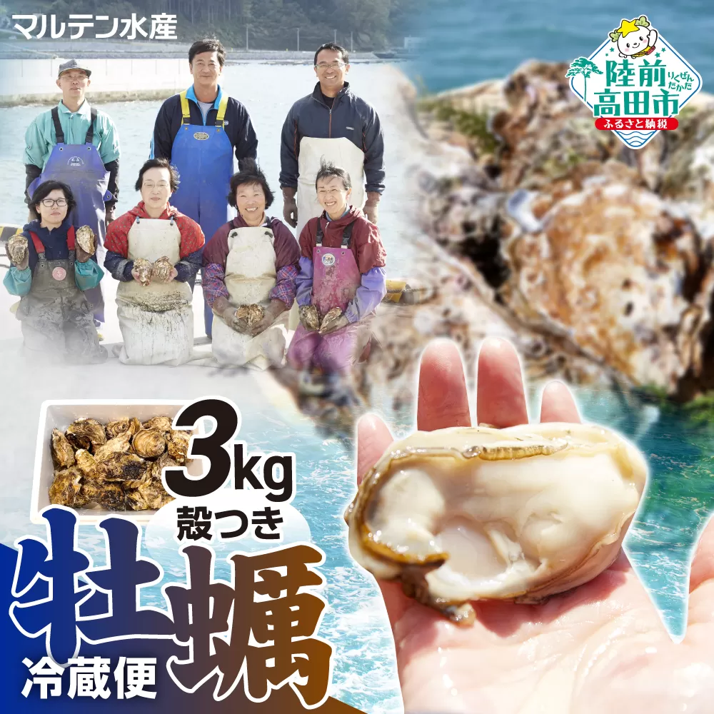 先行予約 【訳あり・数量限定】 殻付き牡蠣 約3kg 【 天然 牡蠣 かき カキ 殻付き 生食 真牡蠣 冷蔵 国産 三陸産 広田湾 マルテン水産 】 RT2794