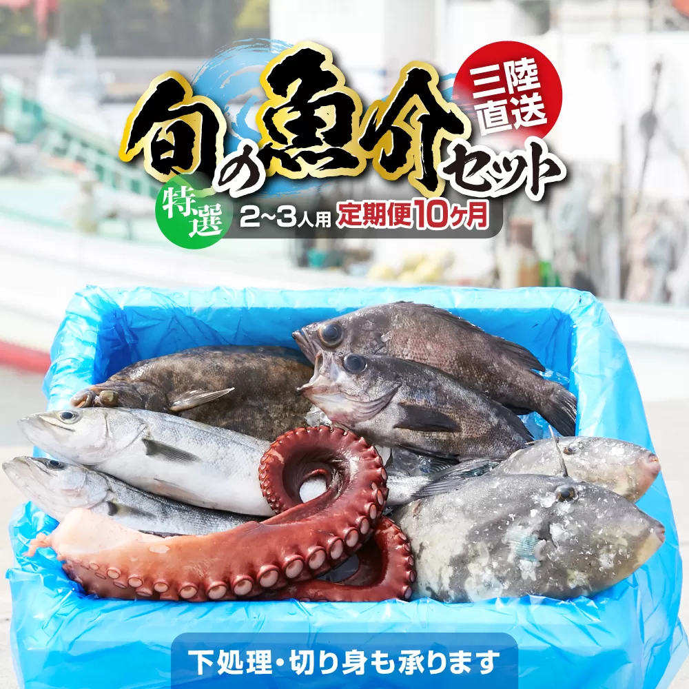 【10ヶ月定期便 / 下処理する】鮮魚セット 特選 三陸海の恵み詰め合わせ (1回あたりのお届け目安：2～3人用) 【 鮮魚 海鮮 お刺身 魚介 魚介類 鮮魚BOX 詰め合わせ セット 三陸産 国産 天然 宴会 時短 便利 簡単 お手軽 岩手県 陸前高田市 産地直送 】 RT1186