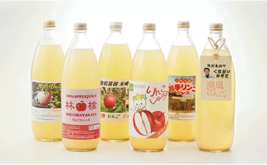 飲み比べ 潮風りんごジュース 1L×6本 セット 【 りんご 飲料 フルーツジュース ストレート 100％ ギフト 岩手 陸前高田 】 RT231