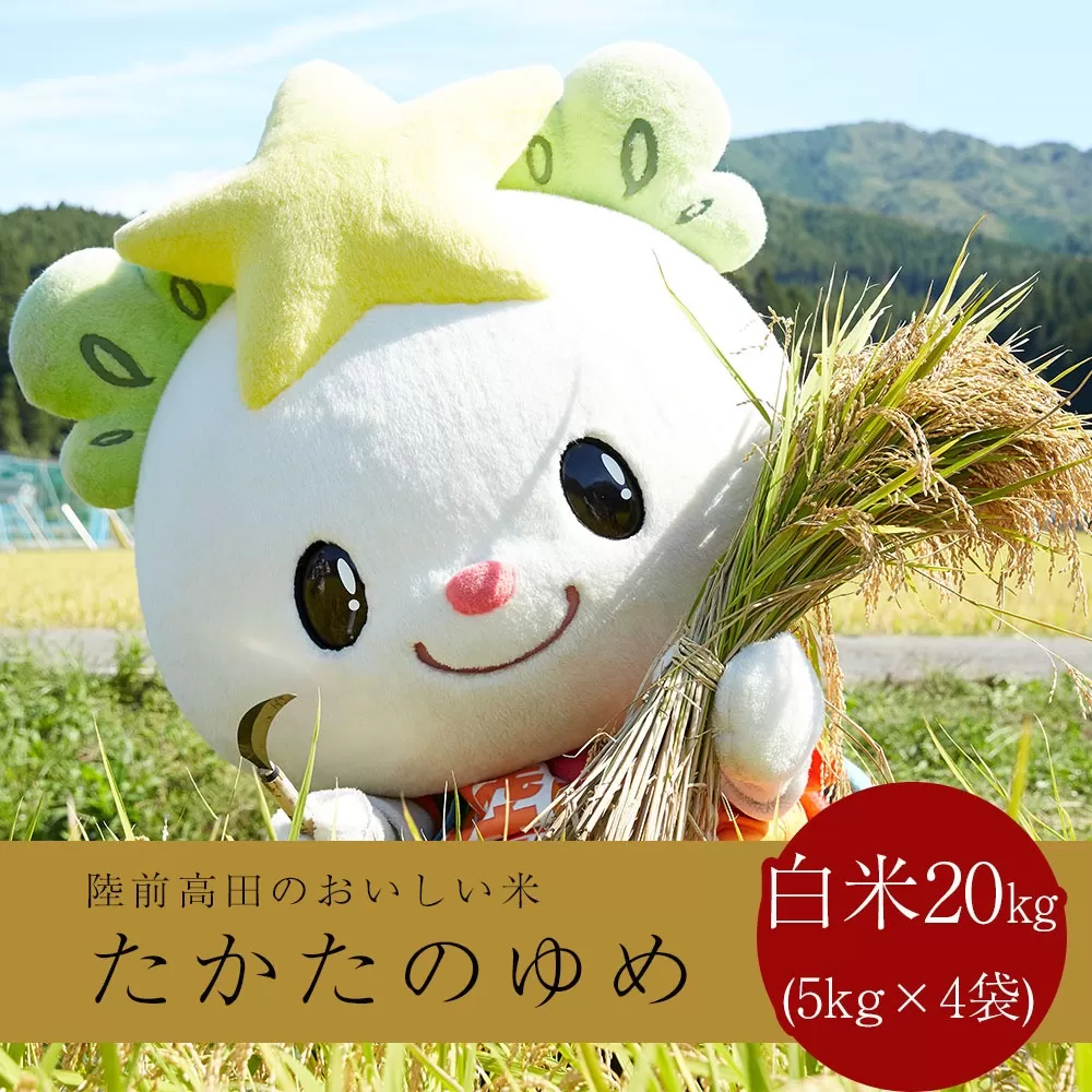令和7年産 白米 20kg 〈 品種：たかたのゆめ 〉【 オリジナル ブランド米 冷めてもおいしい お弁当 おにぎり ギフト 】