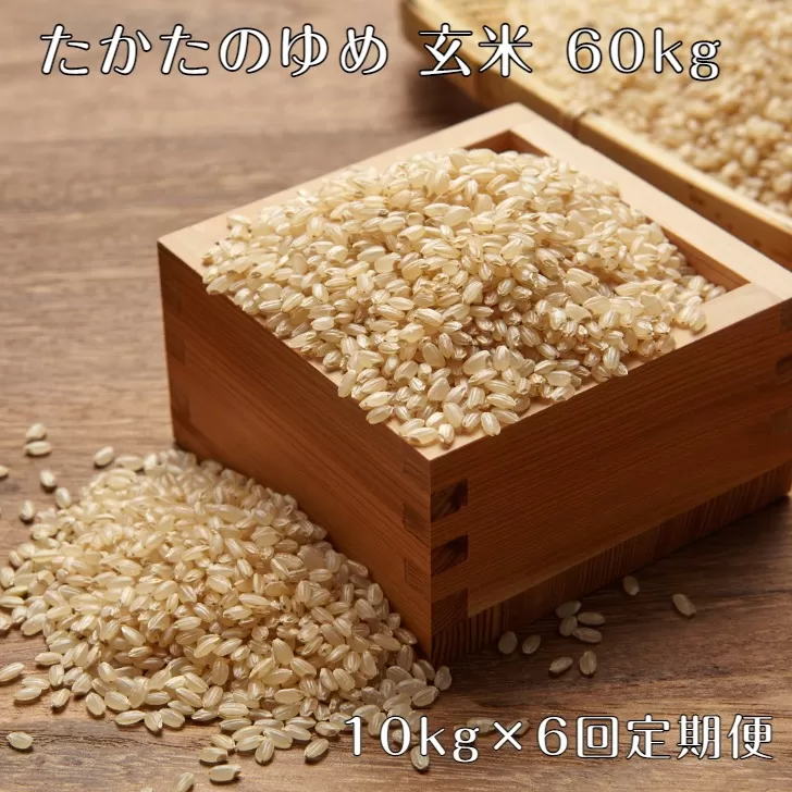【6ヶ月定期便】 令和7年産 玄米 10kg×6ヶ月お届け 〈 品種：たかたのゆめ 〉【 オリジナル ブランド米 冷めてもおいしい お弁当 おにぎり ギフト 】