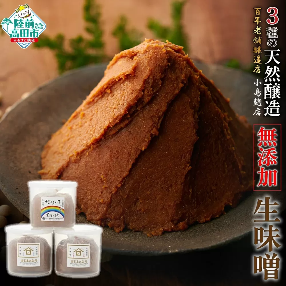【100年老舗醸造店】 小島麹店 3種の天然醸造生味噌セット 【 天然醸造 手作り製法 無添加 陸前高田市 】 RT731