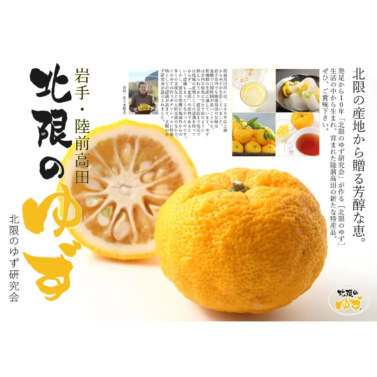 【期間限定】北限のゆず（黄玉）約1kg 【 柚子 ユズ 旬 果物 料理 産地直送 岩手 陸前高田 】RT2649