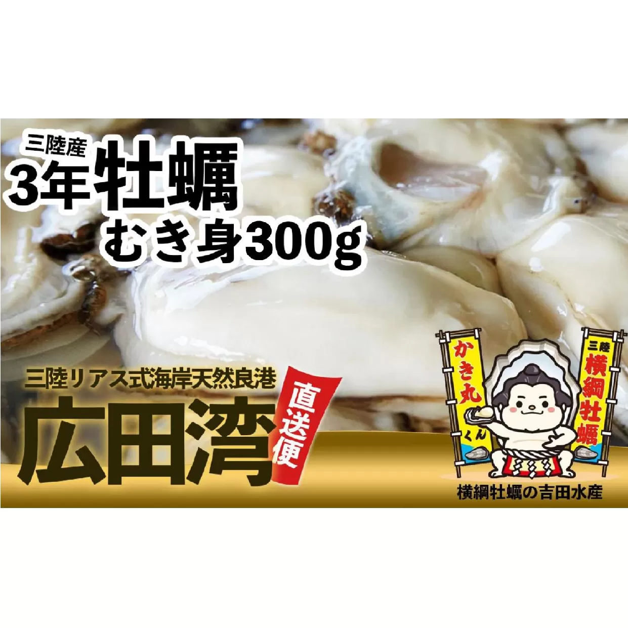 横綱牡蠣!吉田水産のむき身牡蠣 Mサイズ 300g おためし [ むき身 牡蠣 かき 大粒 小分け 加熱用 冷蔵 三陸 リアス海岸 広田湾 3年牡蠣 ]RT2648