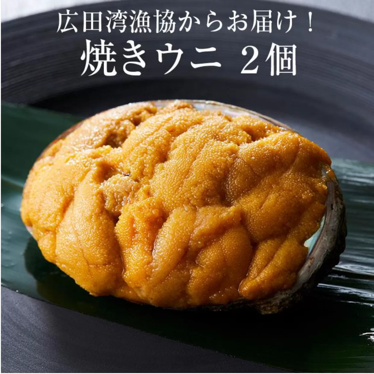 広田湾漁協からお届け!焼きウニ2個セット 【 ミョウバン不使用 うに ウニ 雲丹 天然 濃厚 人気 魚介類 海産物 海の幸 三陸産 】 RT938