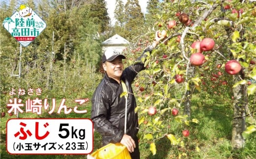 【事業者支援/完熟濃厚】 米崎りんご 品種：ふじ 小玉 約5kg 23玉 【 りんご 林檎 旬 フルーツ 訳あり 産地直送 個数限定 数量限定 】 RT3265