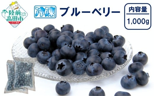 【数量限定】 冷凍ブルーベリー 500g×2袋 (計1,000g) 品種ミックス だいわフルーツパーク 【 産地直送 果物 フルーツ ブルーベリー 食べ比べ ヨーグルト ジャム 】 RT3012