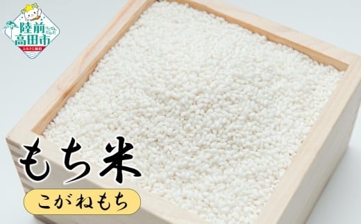 もち米 3kg 品種：こがねもち 【 餅 赤飯 おこわ おはぎ おしるこ 数量限定 岩手県産 マルキヨファーム 】 RT3034