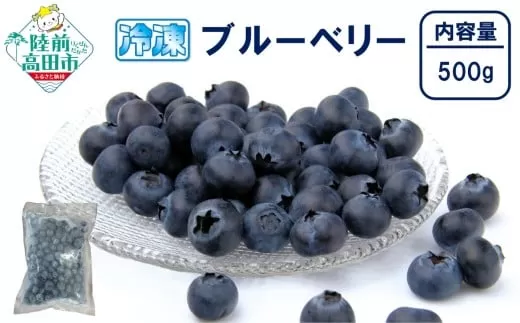 【数量限定】 冷凍ブルーベリー 500g×1袋 品種ミックス だいわフルーツパーク 【 産地直送 果物 フルーツ ブルーベリー 食べ比べ ヨーグルト ジャム 】 RT3011