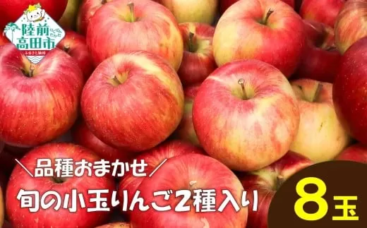 ★品種おまかせ★ 食べ比べが楽しい! 旬の小玉りんご 2種類 8個入り (家庭用) 【 リンゴ 林檎 産地直送 訳あり セット 詰め合わせ ギフト 】 RT3027
