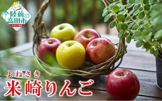 《旬のりんごをお届け！》 米崎りんご 品種おまかせ 約5kg 【 数量限定 りんご リンゴ 林檎 産地直送 新鮮 岩手 陸前高田 マルキヨファーム 】 RT3190