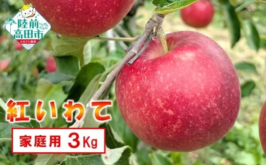 100箱限定! [家庭用]あま〜くてもぎたての米崎りんご 3kg 品種:紅いわて 9月末までの特別価格 米崎りんご 訳あり