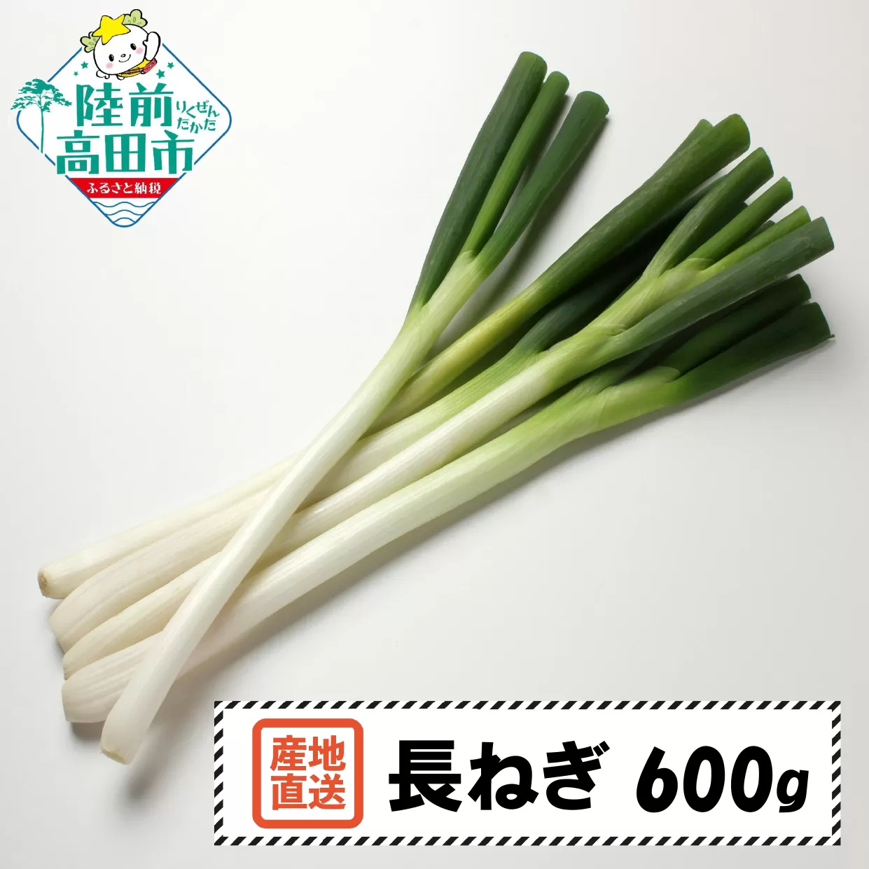 【先行予約】 長ねぎ 約600g 土を落として発送 すぐに使える 【 ねぎ 長ネギ 白ねぎ 根深ねぎ 産地直送 新鮮 料理 野菜 岩手県 陸前高田市 】 RT2757