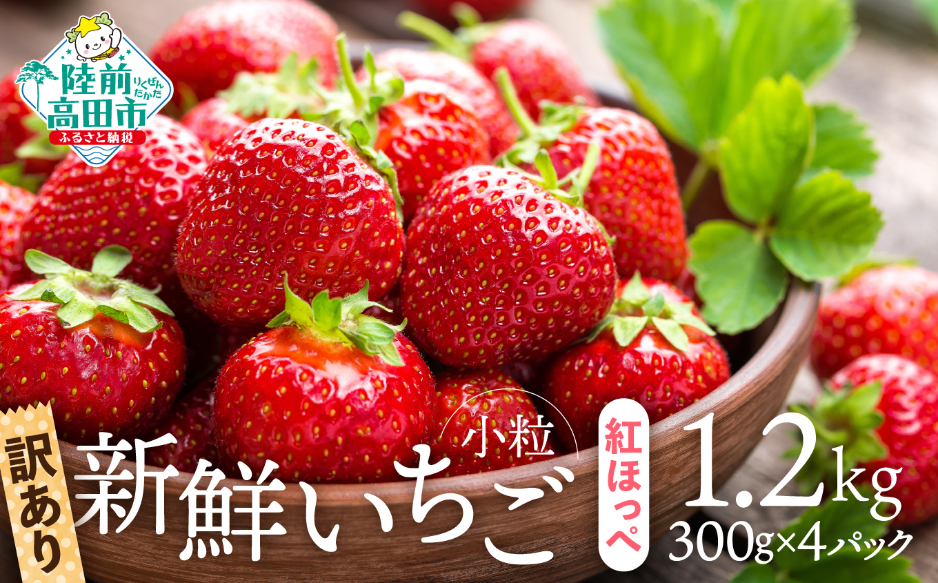フルーツ ギフト 苺八景 いちご はっけい 滋賀県野洲市産 近江特産 紅  