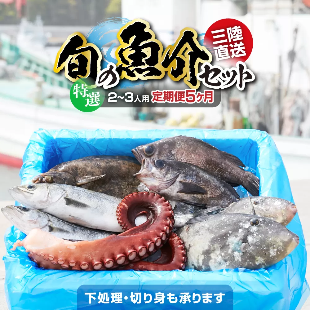 【5ヶ月定期便 / 下処理する】鮮魚セット 特選 三陸海の恵み詰め合わせ (1回あたりのお届け目安：2～3人用) 【 鮮魚 海鮮 お刺身 魚介 魚介類 鮮魚BOX 詰め合わせ セット 三陸産 国産 天然 宴会 時短 便利 簡単 お手軽 岩手県 陸前高田市 産地直送 】 RT1001