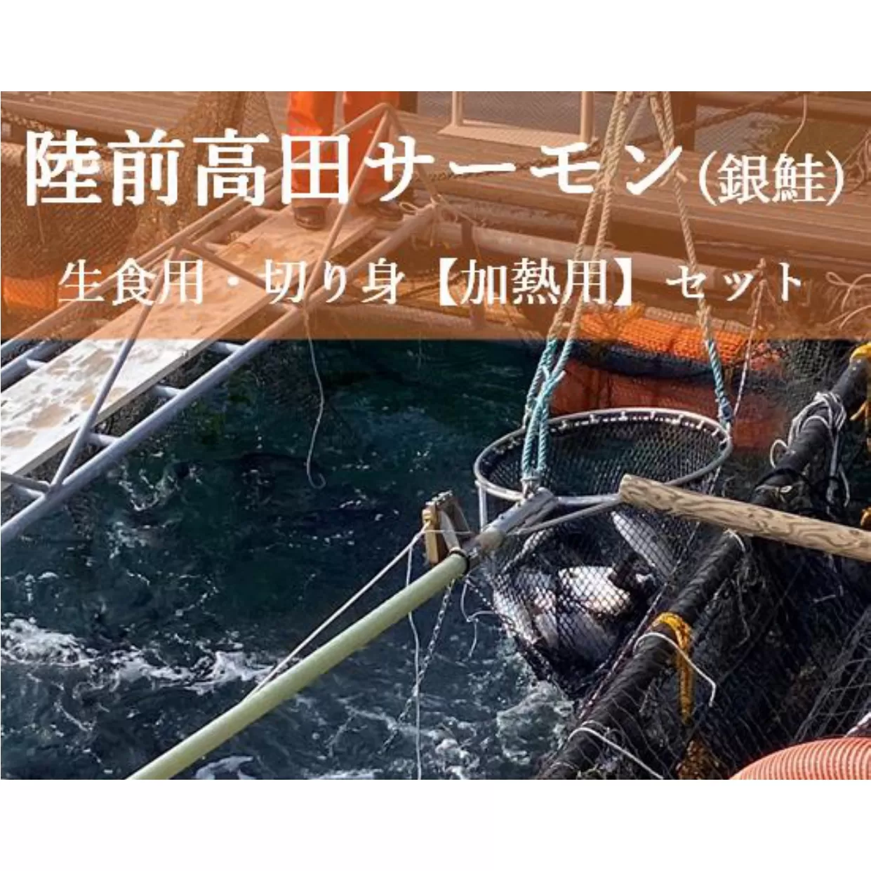 陸前高田サーモン(銀鮭) 生食用・切り身(加熱用)セット [ 鮭 サーモン ブランド 刺身 寿司 焼き鮭 岩手 陸前高田 ]広田湾漁協からお届け!