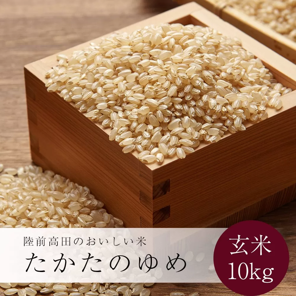令和6年産 玄米 10kg 〈 品種：たかたのゆめ 〉【 オリジナル ブランド米 冷めてもおいしい お弁当 おにぎり ギフト 】