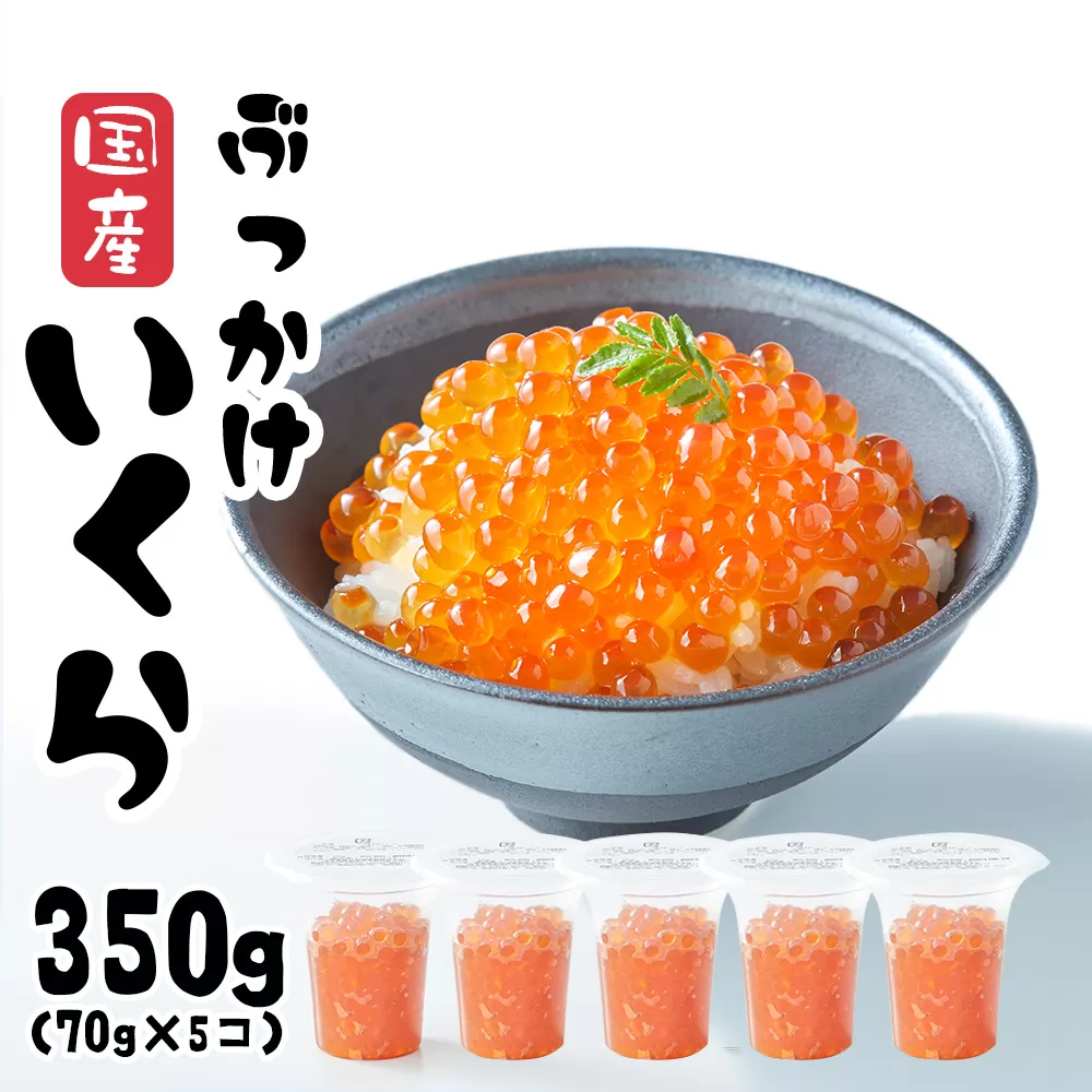＼TVで紹介されました／ いくら醤油漬け 350g (70g×5パック) 国産 鮭卵 冷凍 最上級グレード 3特 【 お試し ikura 鮭 鮭卵 醤油 海鮮 魚卵 人気 醤油漬け 】 RT1965