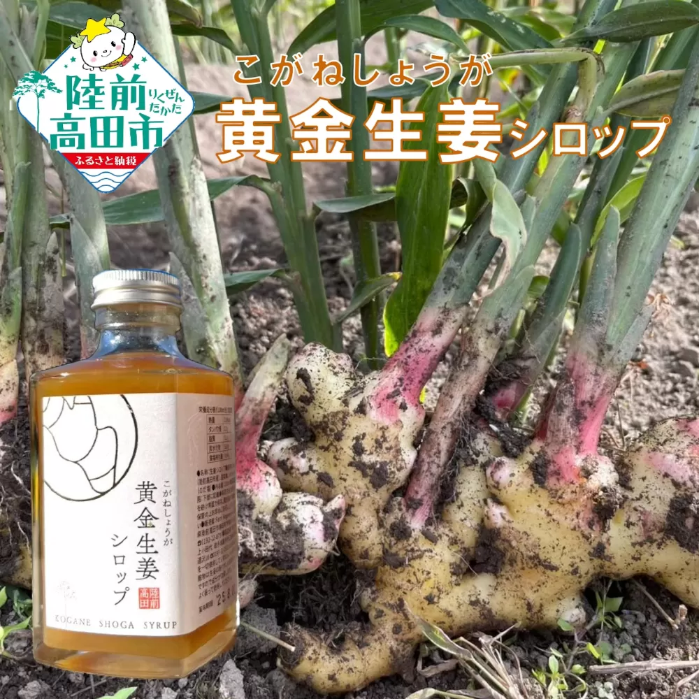 【黄金生姜使用】 黄金生姜シロップ 200ml×1本 【 数量限定 ショウガ シロップ 調味料 濃厚 おためし 陸前高田市産 Farm Koganeyama 】 RT2723