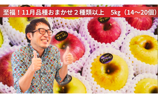 米崎りんご ぎゅっとセット 5kg 【 りんご 品種 おまかせ 旬 お届け 岩手 陸前高田 】 RT2059